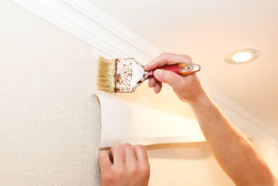 Pose de papier peint à Mouettes — revêtements muraux et toiles de verre